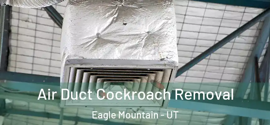  Air Duct Cockroach Removal Eagle Mountain - UT