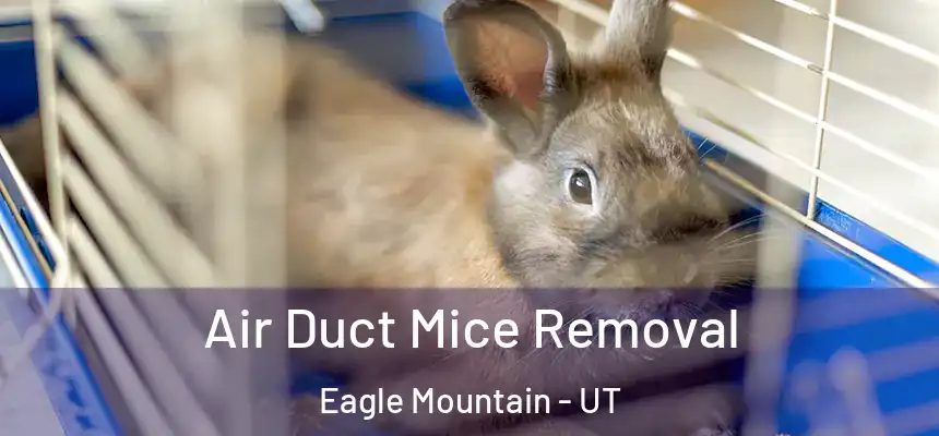 Air Duct Mice Removal Eagle Mountain - UT