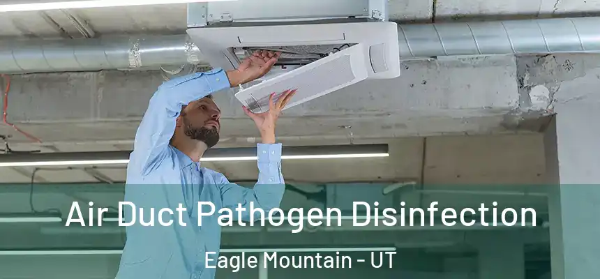 Air Duct Pathogen Disinfection Eagle Mountain - UT