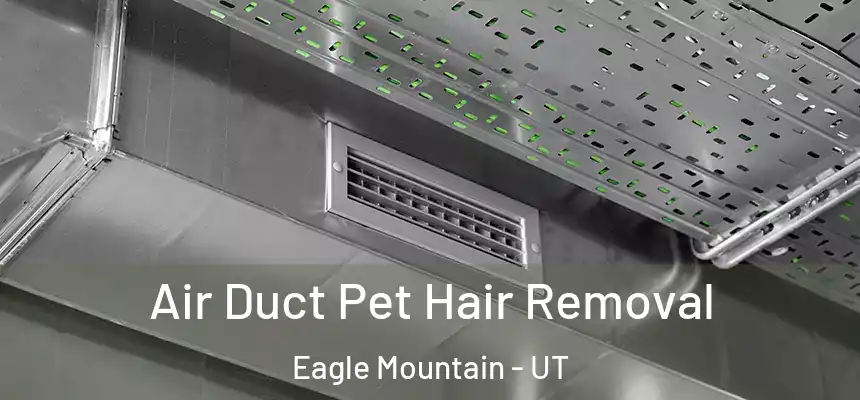 Air Duct Pet Hair Removal Eagle Mountain - UT