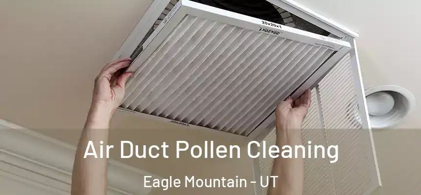  Air Duct Pollen Cleaning Eagle Mountain - UT
