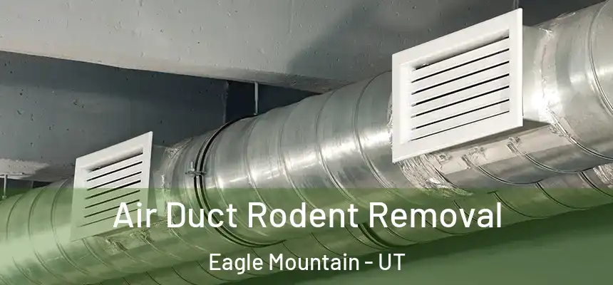  Air Duct Rodent Removal Eagle Mountain - UT