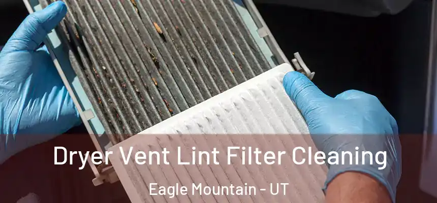  Dryer Vent Lint Filter Cleaning Eagle Mountain - UT