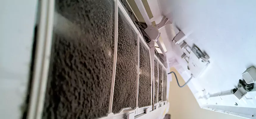 Preventive Air Duct Bacteria Removal in Eagle Mountain