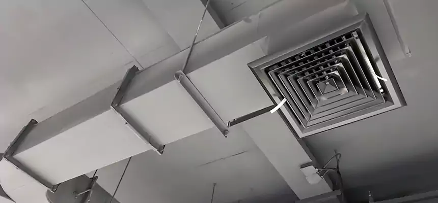 Restorative Allergy Relief Vent Cleaning – Coil, Blower & Housing Detail in Eagle Mountain