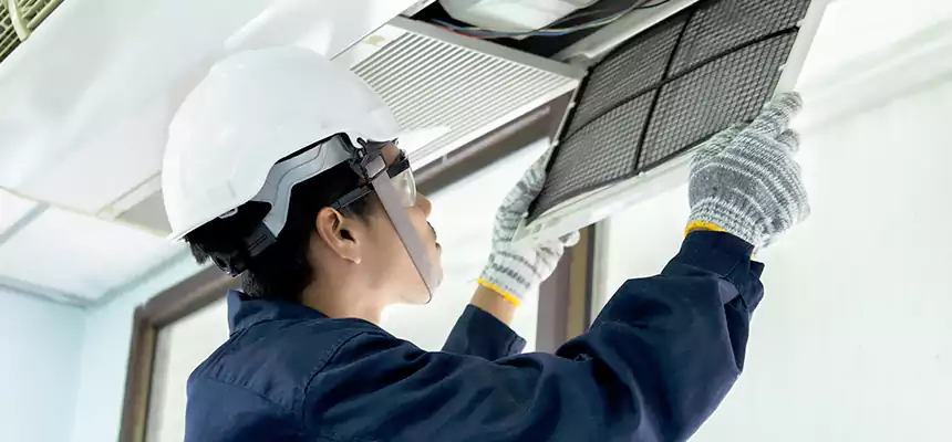 Our Mold & Mildew Removal from Air Ducts Services in Eagle Mountain, UT