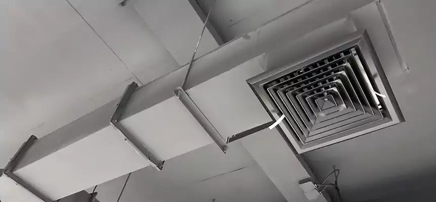 Our Rodent Droppings In Vents Services in Eagle Mountain, UT