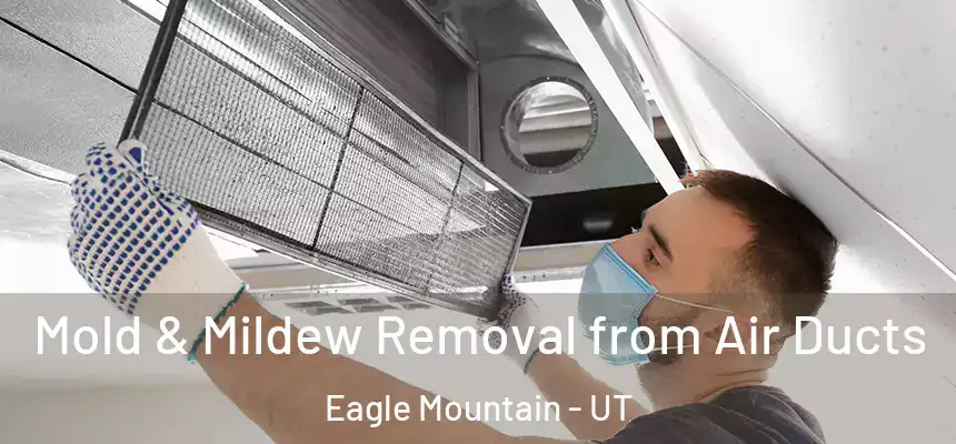  Mold & Mildew Removal from Air Ducts Eagle Mountain - UT