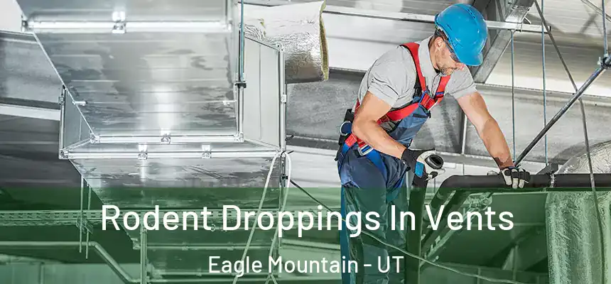 Rodent Droppings In Vents Eagle Mountain - UT