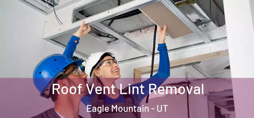  Roof Vent Lint Removal Eagle Mountain - UT