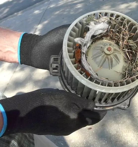 About Air Duct Mice Removal in Eagle Mountain, UT