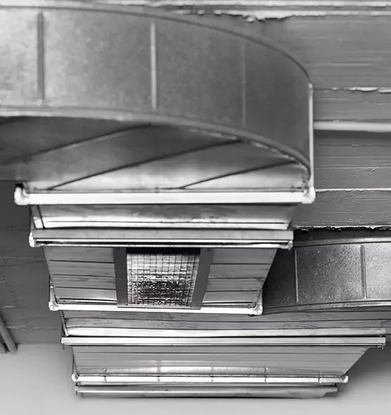 Professional Air Duct Pest Removal in Eagle Mountain, UT