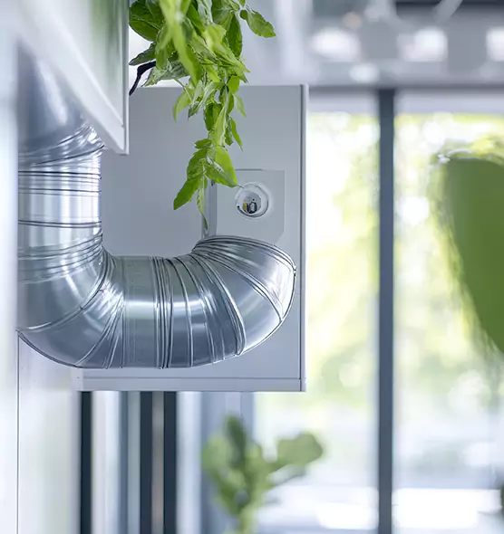 Professional Eco-Safe Dryer Vent Cleaning in Eagle Mountain, UT