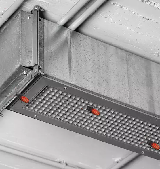 Affordable Insect Removal from Air Ducts in Eagle Mountain, UT