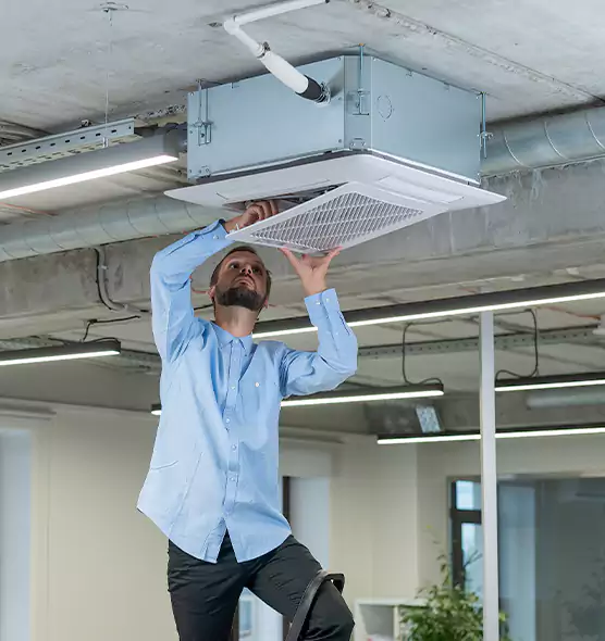 Advanced Rodent Droppings In Vents in Eagle Mountain, UT