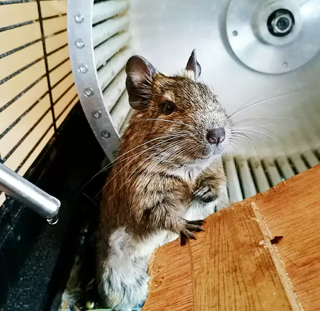 Why Homeowners & Businesses Trust Us Eagle Mountain, UT?