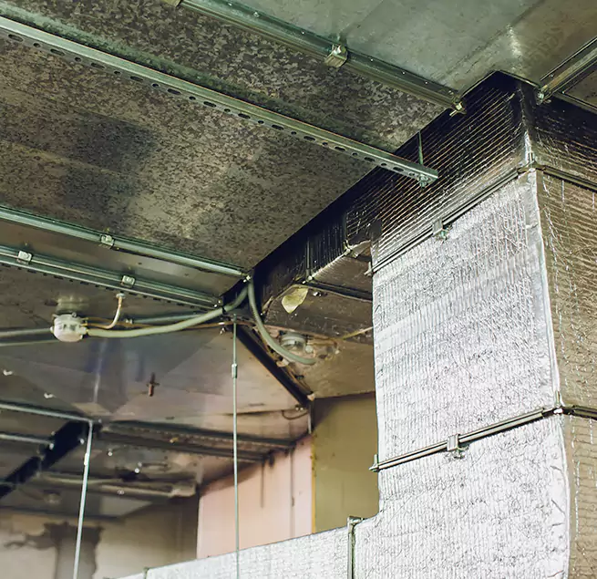 Why Homeowners & Businesses Trust Us in Eagle Mountain, UT?